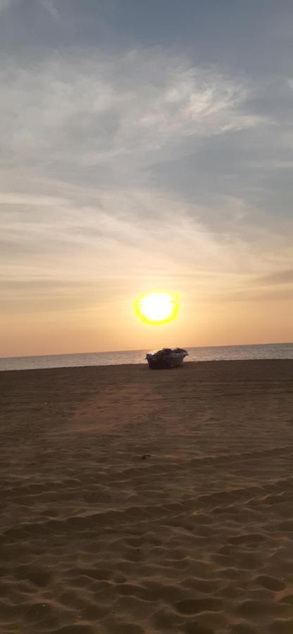Ever Green Villa Negombo Zewnętrze zdjęcie