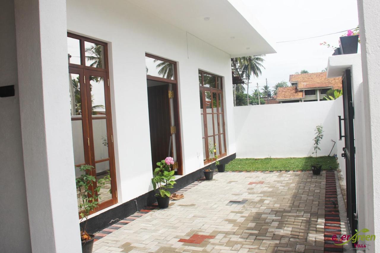 Ever Green Villa Negombo Zewnętrze zdjęcie